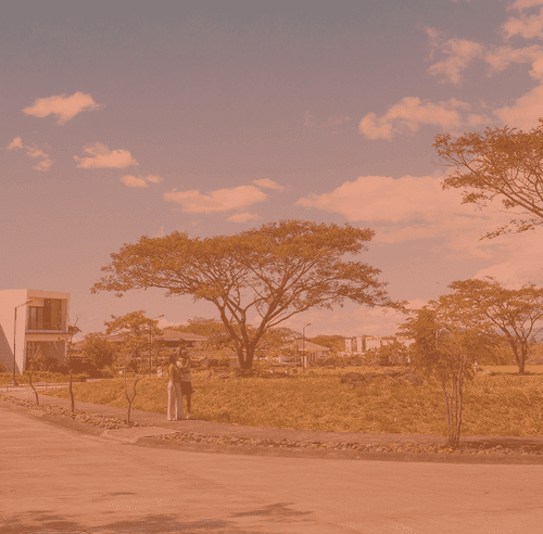 image 14.png